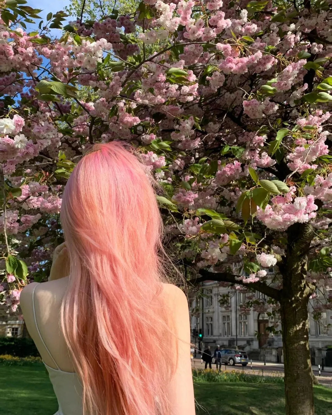 Cotton Candy Pink by @小红书博主 1