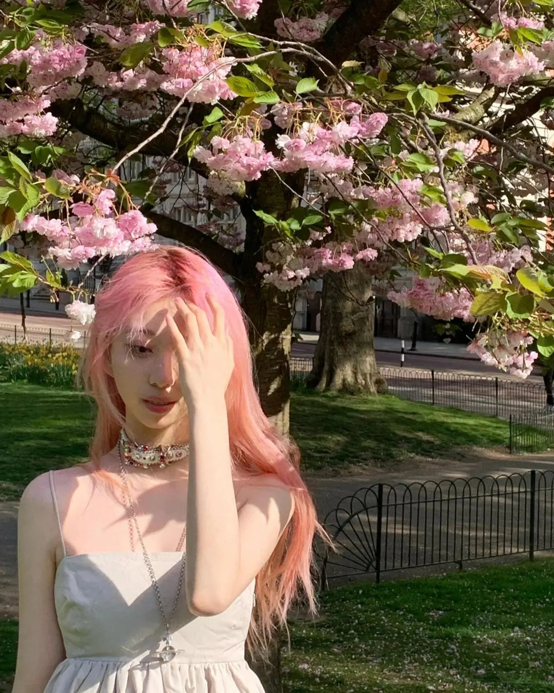 Cotton Candy Pink by @小红书博主 4