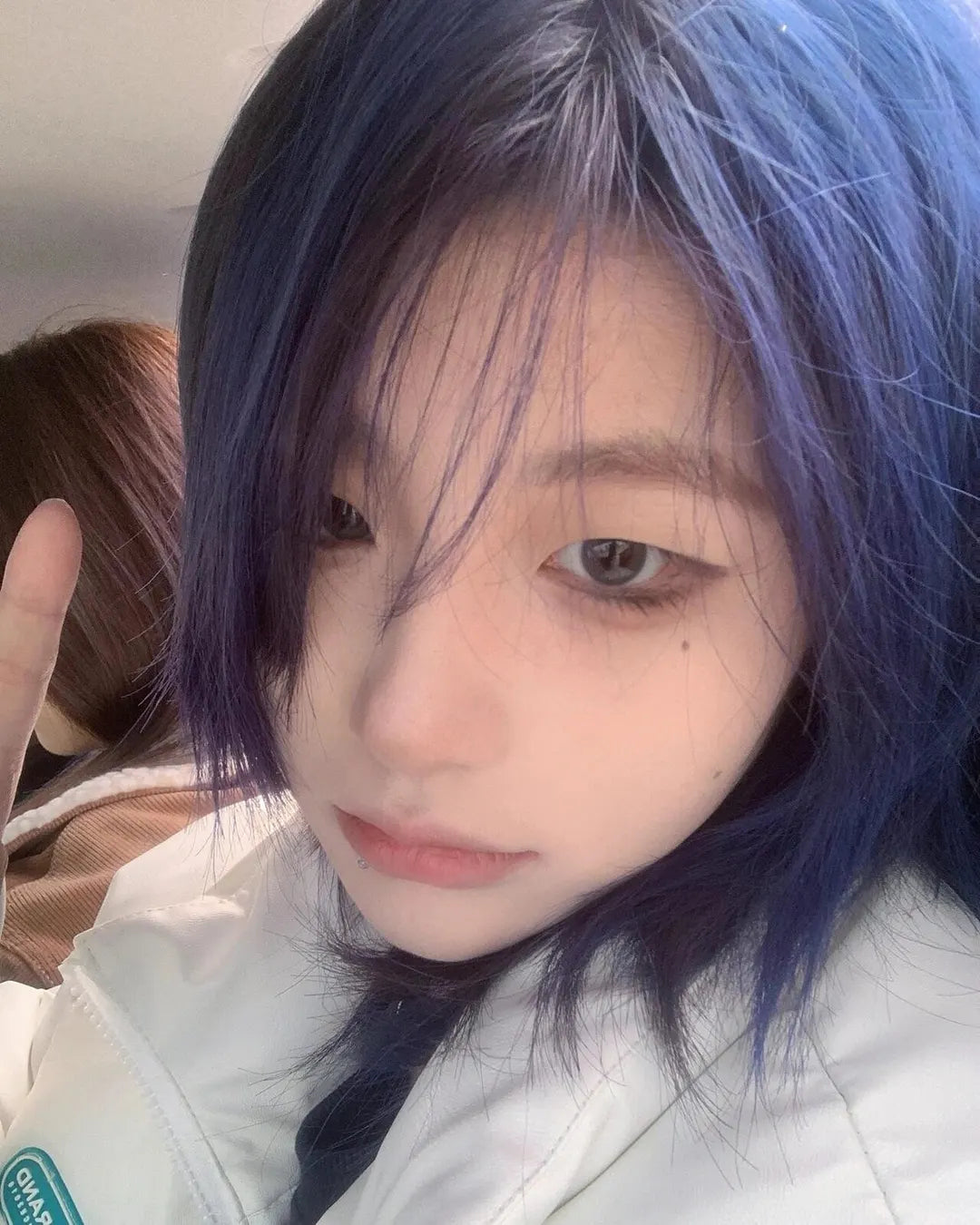 Shocking Blue by @小李飞猫 5